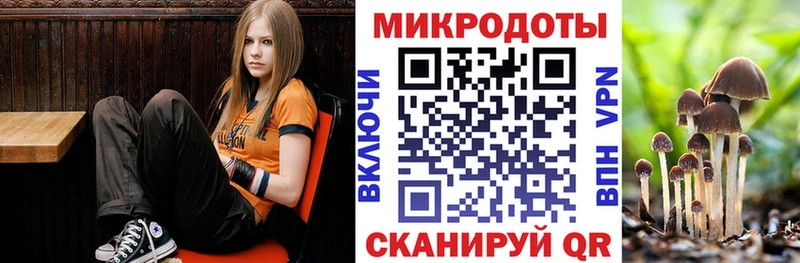 Галлюциногенные грибы Psilocybe Нарьян-Мар