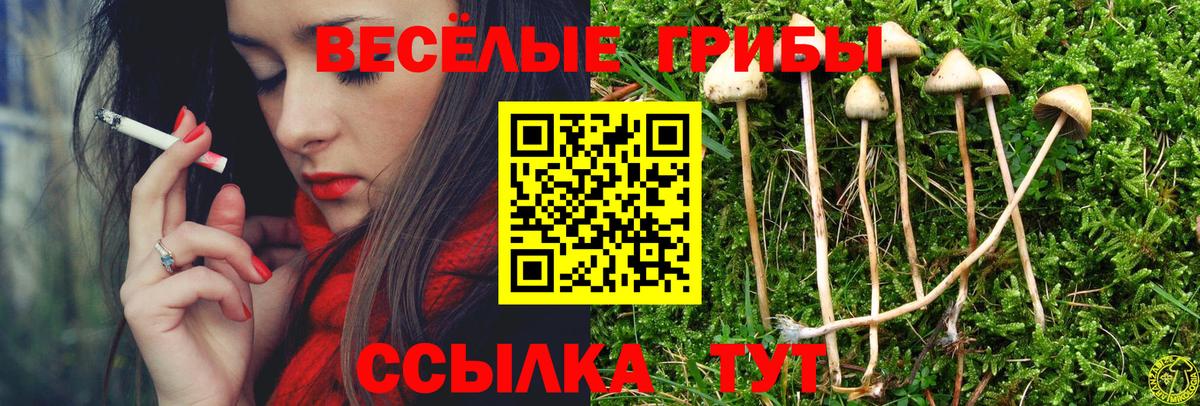 Галлюциногенные грибы мицелий  Вход с VPN  Нарьян-Мар 